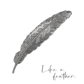 Like a feather – Présentoir Nailart – Silver