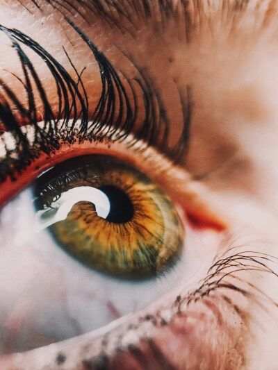 ZOOM SUR Les couleurs et leur perception